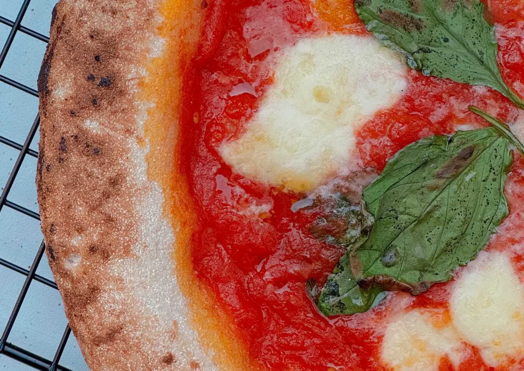Gros plan sur une pizza type napolitaine sortie du four, sauce tomate, fiordilatte et basilic